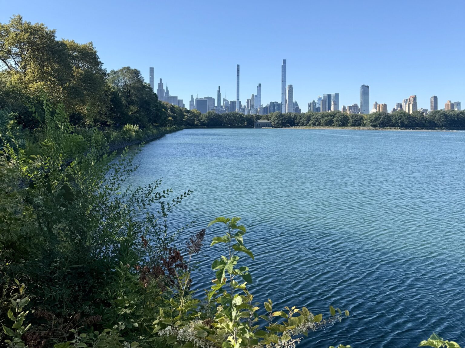 10 Things You Must Do in Central Park (With Map)