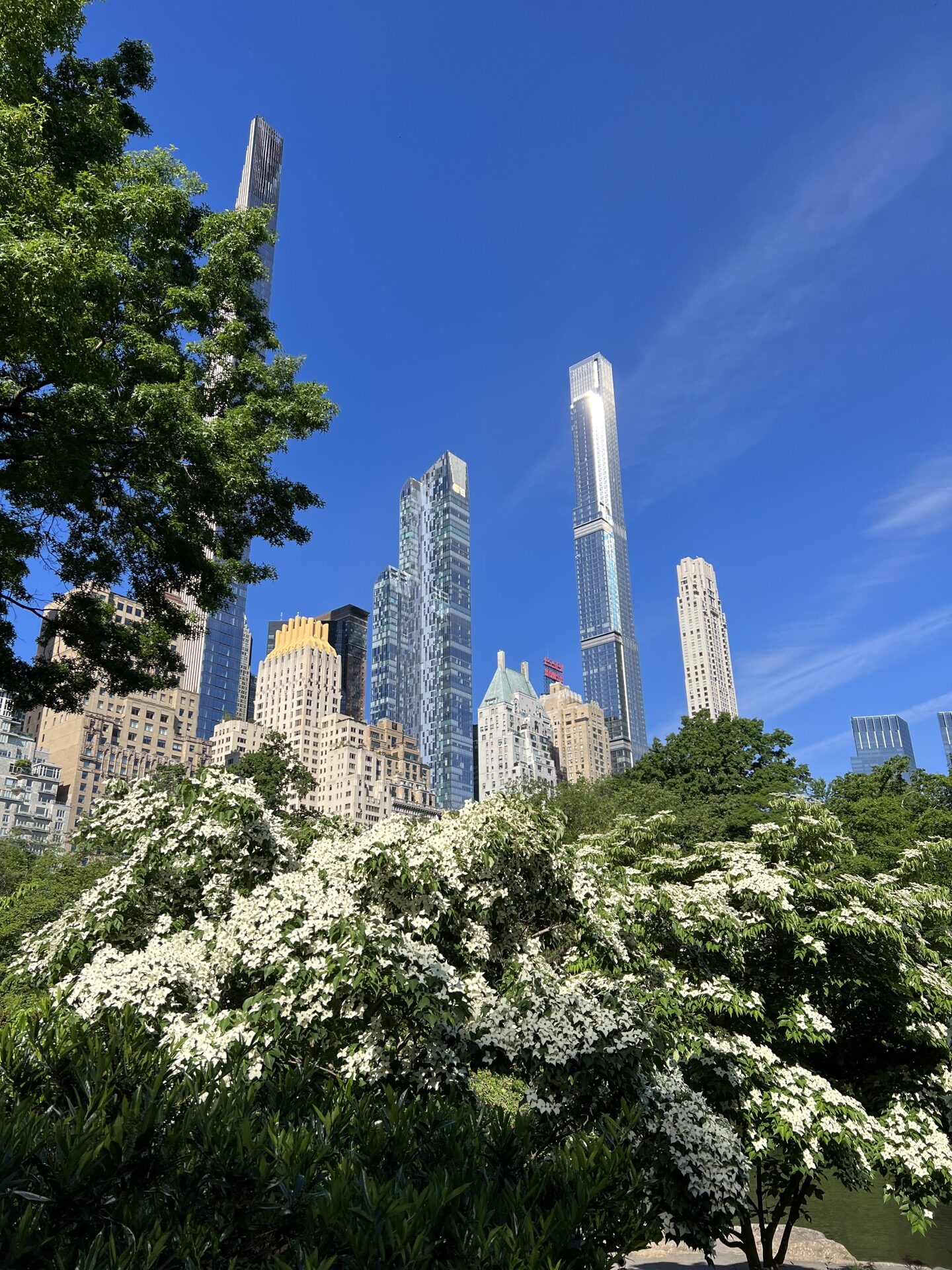 10 Things You Must Do in Central Park (With Map)